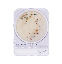 Compact Dry VP | Vibrio parahaemolyticus