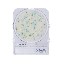 Compact Dry X-SA | Staphylococcus aureus