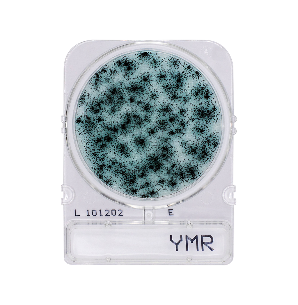 Compact Dry YMR | Yeast and Mold - Rapid