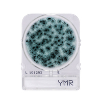 Compact Dry YMR | Yeast and Mold - Rapid