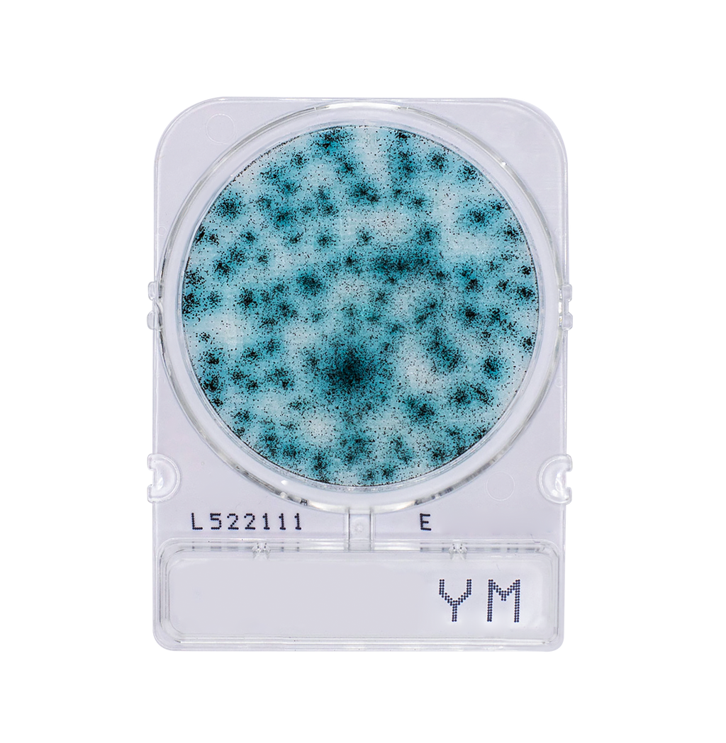 Compact Dry YM | Yeast and Mold