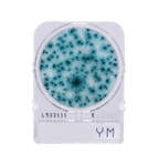 Compact Dry YM | Yeast and Mold