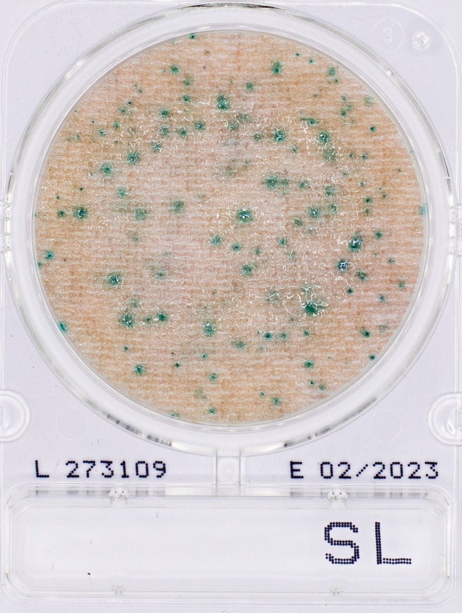 BOGO Compact Dry SL