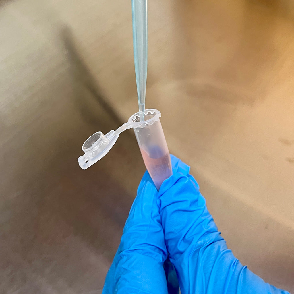 1.5 mL Microcentrifuge Tubes – Clear, Conical, Lock Cap, Sterile